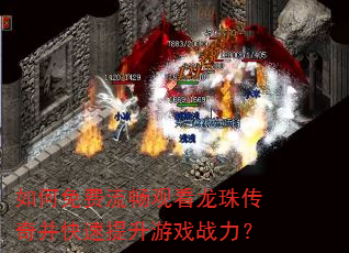 �����������ۿ����鴫�沢����������Ϸս����