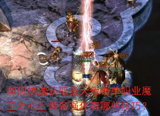 ��ο��ٻ�ȡʥ�촫�浥ְҵħ��֮�ģ�װ��ǿ������Щ���ɣ�