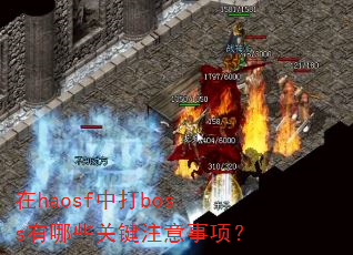��haosf�д�boss����Щ�ؼ�ע�����