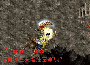 ��haosf�д�boss����Щ�ؼ�ע�����