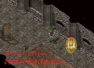 ��haosf�д�boss����Щ�ؼ�ע�����