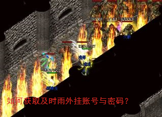 如何获取及时雨外挂账号与密码? 如何获取及时雨外挂账号与密码?